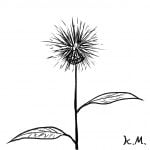 一文物語365 挿絵 花
