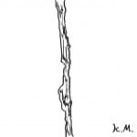 一文物語365 挿絵 細い道