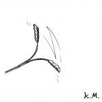 一文物語365 挿絵 猫じゃらし