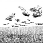 一文物語365 挿絵 麦畑