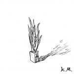 一文物語365 挿絵 観葉植物