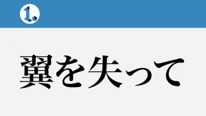 2017年11月19日一文物語