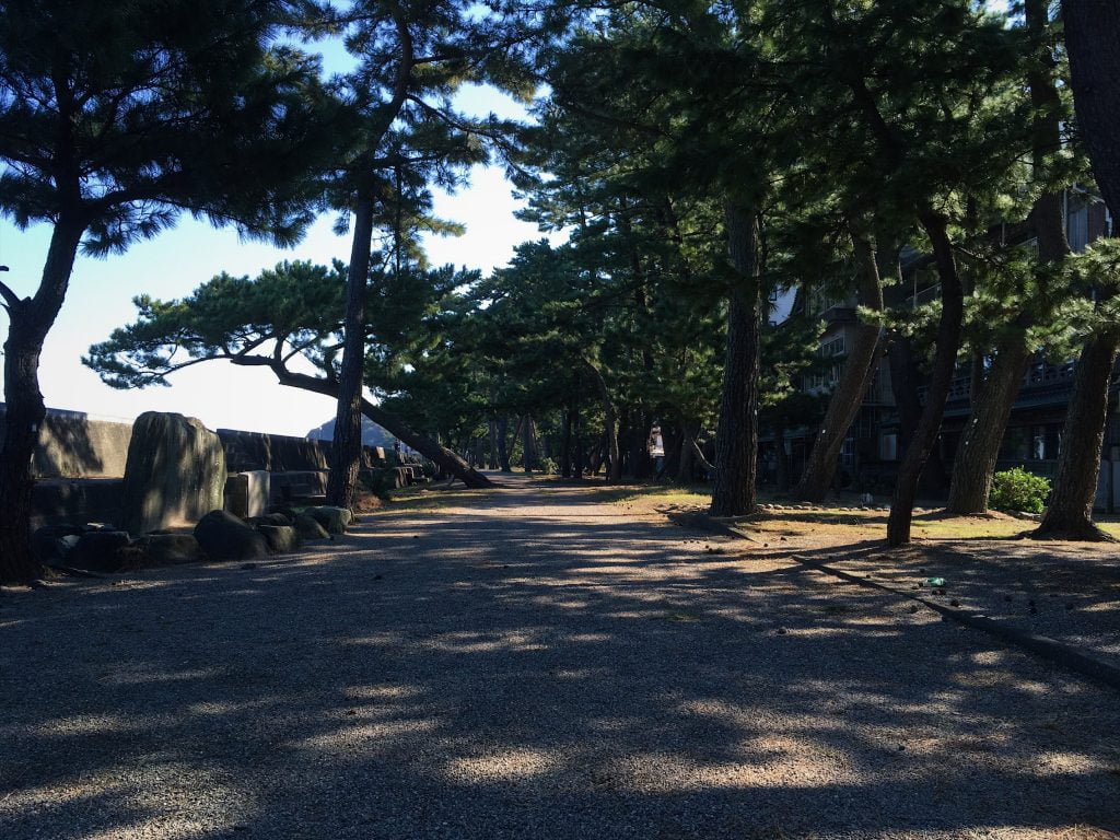 松林