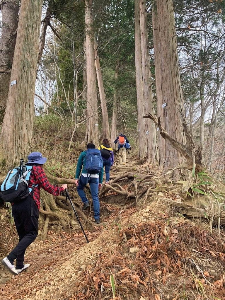 奥多摩御岳山御嶽神社奥の院への道