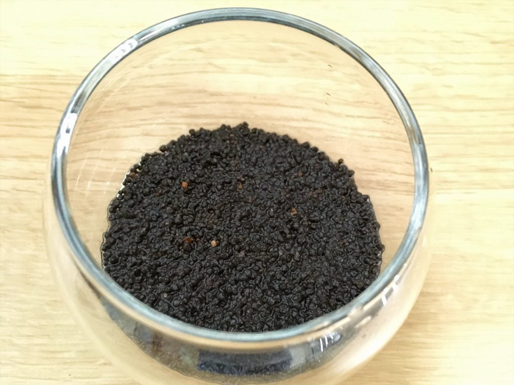 育てる水草キットで、土を水で湿らせたところ