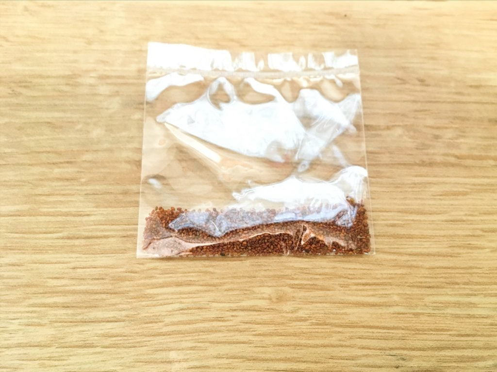 育てる水草キットの種