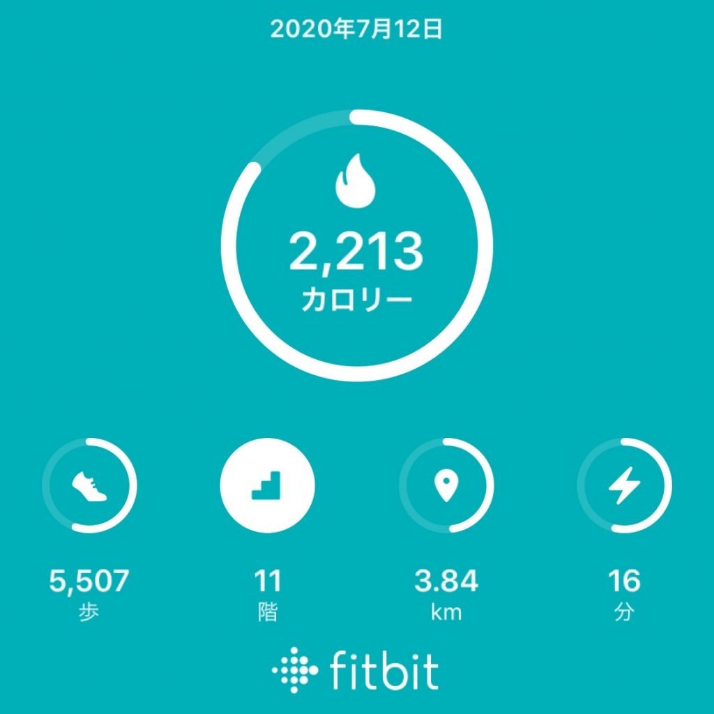 Fitbitのデータ