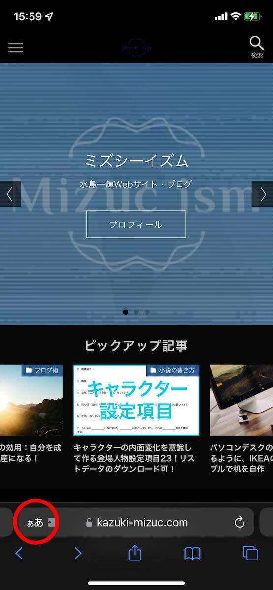 iPhoneのSafariで表示したMizuc ism